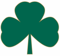 Shamrocks mascot photo.