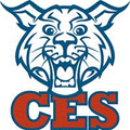 Wildcats mascot photo.