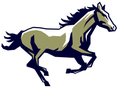Mustangs mascot photo.