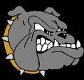 Bulldogs mascot photo.