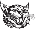 Wildcats mascot photo.