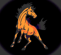 Mustangs mascot photo.