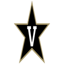 Vidor logo