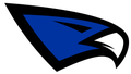 Bluehawks mascot photo.