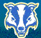 Badgers mascot photo.