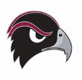 Falcons mascot photo.