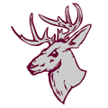 Bucks mascot photo.