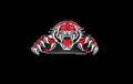 Red Raiders mascot photo.
