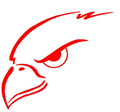 Sea Hawks mascot photo.
