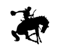 Cowboys mascot photo.