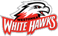 White Hawks mascot photo.