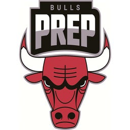 Bulls College Prep