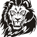 Lions mascot photo.