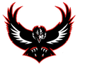 Ravens mascot photo.