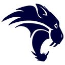 Young Men's Leadership Academy logo
