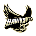 Golden Hawks mascot photo.