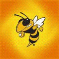 Yellowjackets mascot photo.