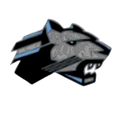 Panthers mascot photo.
