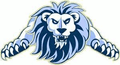 Lions mascot photo.