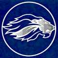 Lions mascot photo.