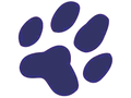 Cougars mascot photo.