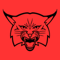 Bobcats mascot photo.