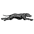 Greyhounds mascot photo.