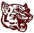 Wildcats mascot photo.