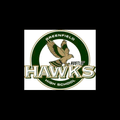 Hustlin' Hawks mascot photo.