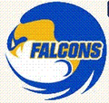 Falcons mascot photo.