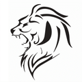 Lions mascot photo.