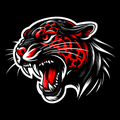 Jaguars mascot photo.