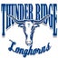 Thunder Ridge High School 