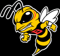 Yellowjackets mascot photo.