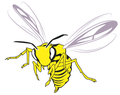 Yellow Jackets mascot photo.