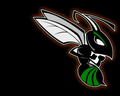 Hornets mascot photo.