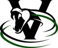 Vipers mascot photo.