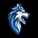 Loudoun Sports Academy