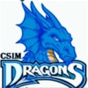 CSI International Studies
