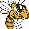 Yellow Jackets mascot photo.