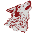 Coyotes mascot photo.
