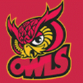 Owls mascot photo.