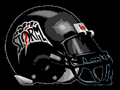 Storm mascot photo.