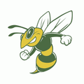 Hornets mascot photo.