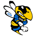 Yellowjackets mascot photo.