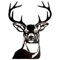 Bucks mascot photo.