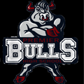 Bulls mascot photo.