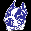 Terriers mascot photo.