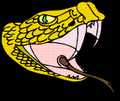 Rattlers mascot photo.
