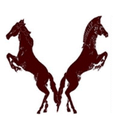 Warhorses / Arabians mascot photo.